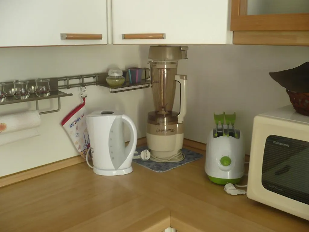 Apartament Appartamento Michela Brenzone sul Garda